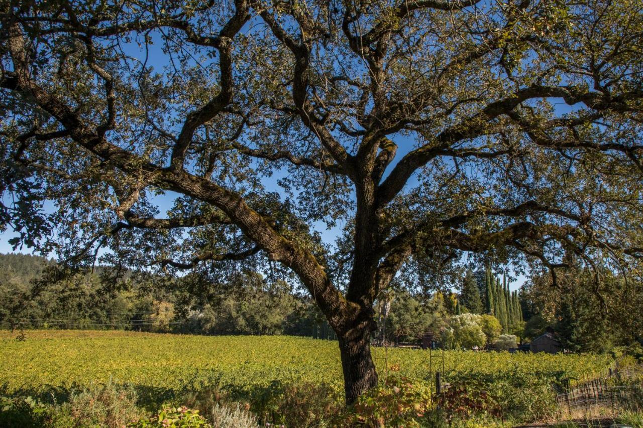 Wine Country Inn Napa Valley St. Helena Exterior photo